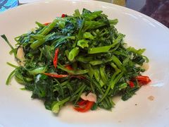 -四季春(美食街店)