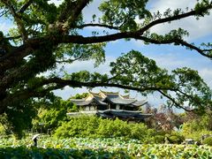 -江心屿景区