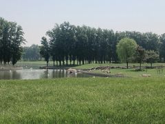 -大兴滨河森林公园