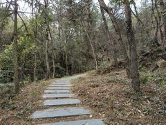 -黄陂区野村谷景区