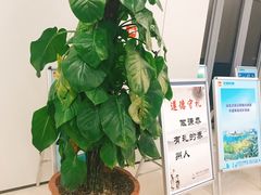 -泰州市人民医院(总院区)
