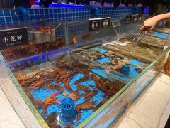 -加餐海鲜自助(宝龙一城店)
