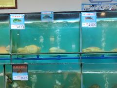 水产区-南海渔家•海鲜•正宗海南菜(海棠湾店)