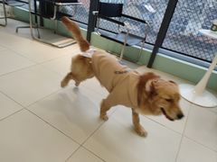 -怪兽屋·羊驼·猫咖·狗咖(俊华广场店)