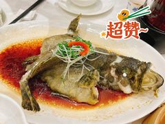 清蒸珍珠斑-御彩酒家(东风东路店)