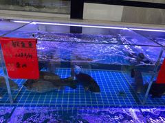 -洲晓鲜·舟山海鲜大排档(朱家尖风景区店)
