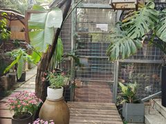 -谷咖啡·鲜花绿植花园餐厅