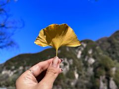 -秦岭终南山世界地质公园翠华山景区