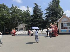 -日照海滨国家森林公园