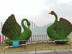 -野狸岛