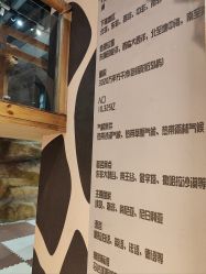 -鲁比猴非洲探索部落(喜盈门店)