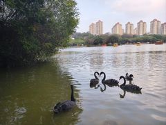 -珠海圆明新园