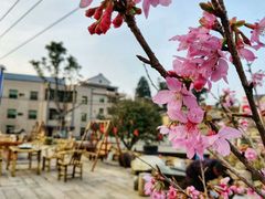 -军营村