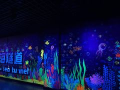 -秦皇岛新澳海底世界