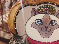 -more than meow吴止猫主题餐厅(承德 中船汇店)