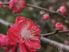 -秀丽东方
