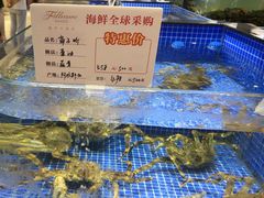 -同庆楼(花园店)