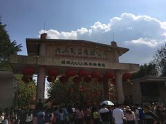 -广东茂名森林公园