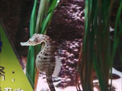 -沈阳海洋探索中心