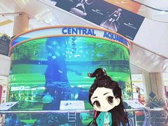 -尚泰清迈机场购物中心