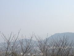 -香雪海