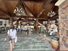 -重庆海昌加勒比海水世界