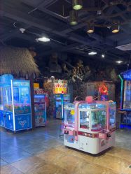 -卡通尼·Safari非洲探索乐园·生日会(金桥国际商业广场店)