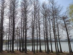 -石湖景区
