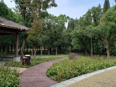 -同里国家湿地公园