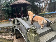 -庐山风景区花径公园