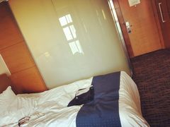 -北京望京华彩智选假日酒店