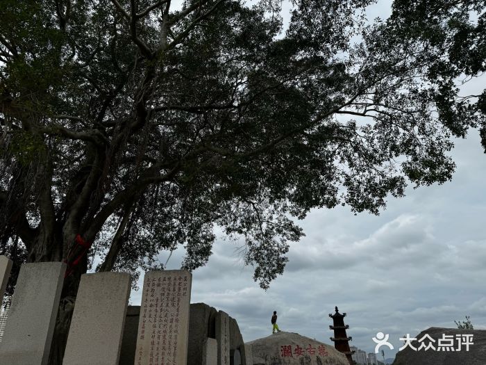 洛阳桥图片