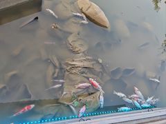 -南阳卧龙岗武侯祠