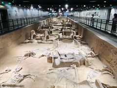 -洛阳周王城天子驾六博物馆