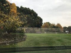 景观位-潮府馆·非遗潮州菜·港式点心(世纪公园店)