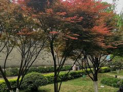 -泸州老窖景区