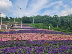-沈阳植物园