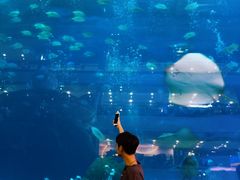 -成都浩海立方海洋公园