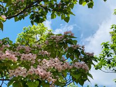 -永定河休闲森林公园