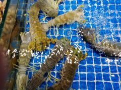-渔人湾码头海鲜市场负二楼