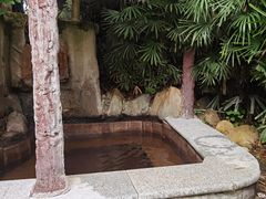 -天赐温泉