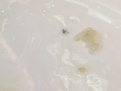 -江湾牛蹄馆