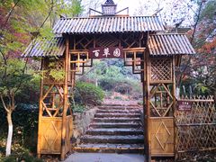 -上海市保健医疗中心