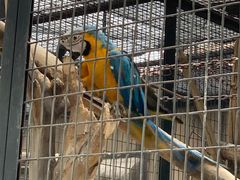 -石家庄市动物园