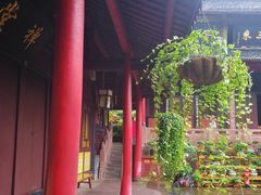 -峨眉山报国寺