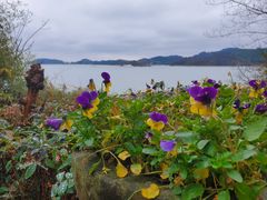-天目湖涵田度假村