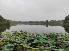 -上海市保健医疗中心