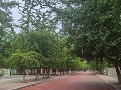-辽宁大学(崇山校区)