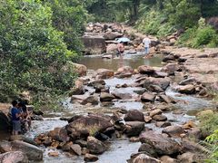 -广州白江湖森林公园