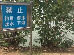 -艾溪湖湿地公园